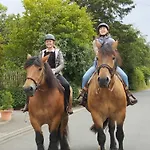 Schilz Plütscheid