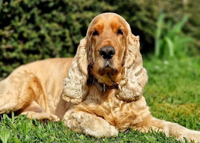 Schilz Semesterbostad *