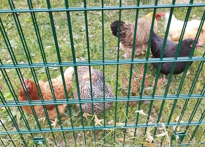 Schilz * Plütscheid